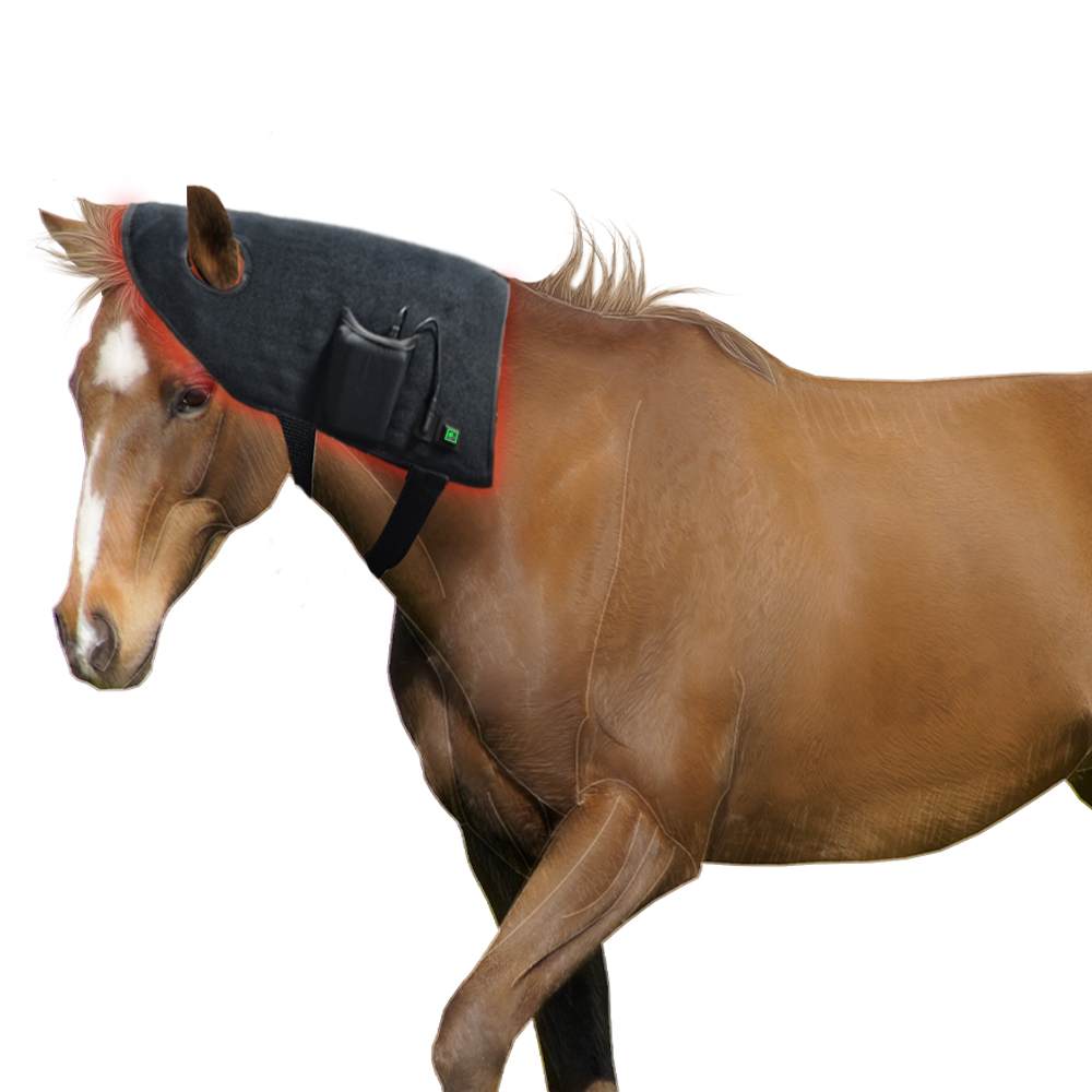 New Pet Horse Products Horse H - огляд і ціна Woodworking Therapy
